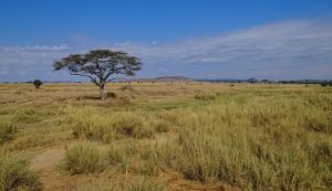 Tanzania - E-Visa