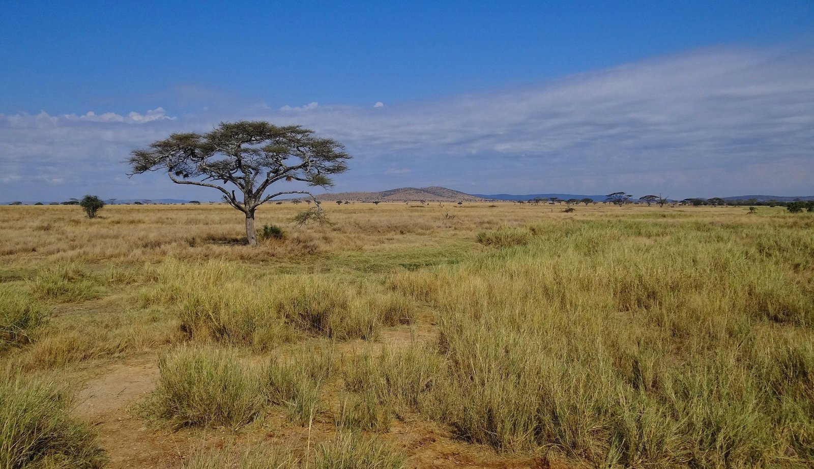 Tanzania - E-Visa